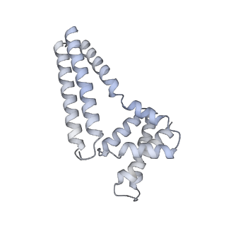 22081_6x6s_Bm_v1-2
Cryo-EM Structure of the Helicobacter pylori OMC