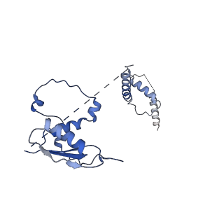 22081_6x6s_Bt_v1-1
Cryo-EM Structure of the Helicobacter pylori OMC