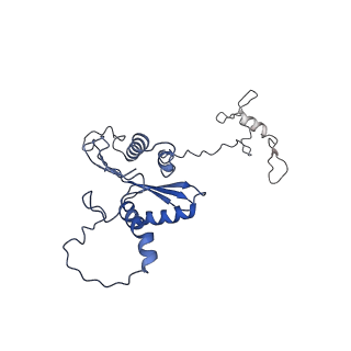 22081_6x6s_CA_v1-1
Cryo-EM Structure of the Helicobacter pylori OMC
