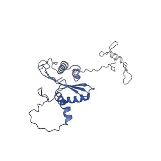 22081_6x6s_CA_v1-2
Cryo-EM Structure of the Helicobacter pylori OMC