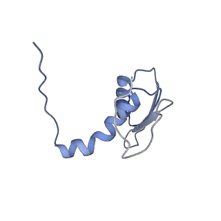 22081_6x6s_CC_v1-1
Cryo-EM Structure of the Helicobacter pylori OMC