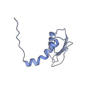 22081_6x6s_CC_v1-2
Cryo-EM Structure of the Helicobacter pylori OMC