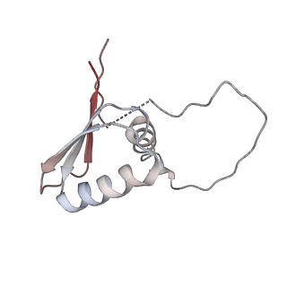 22081_6x6s_CD_v1-1
Cryo-EM Structure of the Helicobacter pylori OMC