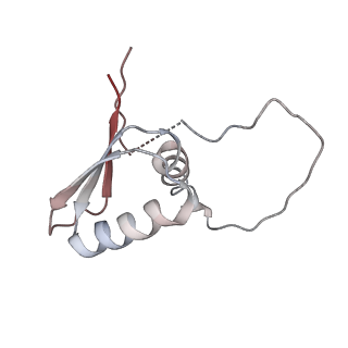 22081_6x6s_CD_v1-2
Cryo-EM Structure of the Helicobacter pylori OMC