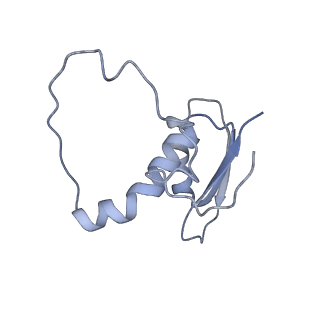 22081_6x6s_CE_v1-1
Cryo-EM Structure of the Helicobacter pylori OMC