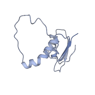 22081_6x6s_CE_v1-2
Cryo-EM Structure of the Helicobacter pylori OMC