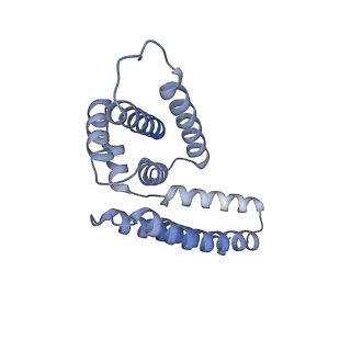 22081_6x6s_CM_v1-1
Cryo-EM Structure of the Helicobacter pylori OMC