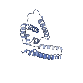 22081_6x6s_CM_v1-2
Cryo-EM Structure of the Helicobacter pylori OMC