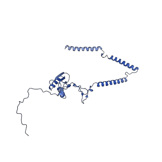 22081_6x6s_CT_v1-1
Cryo-EM Structure of the Helicobacter pylori OMC