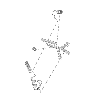 22081_6x6s_CU_v1-2
Cryo-EM Structure of the Helicobacter pylori OMC