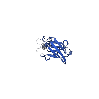 22081_6x6s_CX_v1-2
Cryo-EM Structure of the Helicobacter pylori OMC