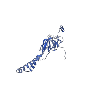22081_6x6s_CY_v1-1
Cryo-EM Structure of the Helicobacter pylori OMC