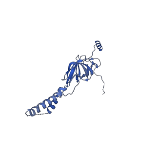 22081_6x6s_CY_v1-2
Cryo-EM Structure of the Helicobacter pylori OMC