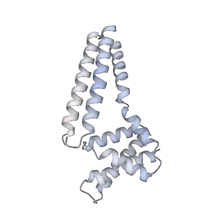 22081_6x6s_Cm_v1-1
Cryo-EM Structure of the Helicobacter pylori OMC