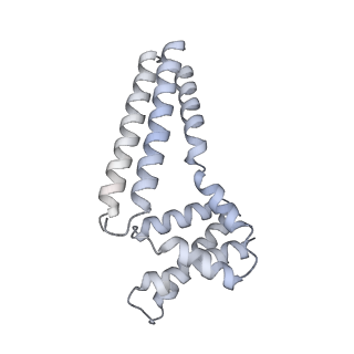 22081_6x6s_Cm_v1-2
Cryo-EM Structure of the Helicobacter pylori OMC