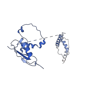 22081_6x6s_Ct_v1-1
Cryo-EM Structure of the Helicobacter pylori OMC