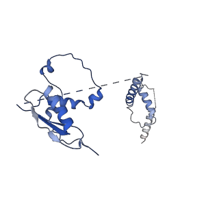 22081_6x6s_Ct_v1-2
Cryo-EM Structure of the Helicobacter pylori OMC