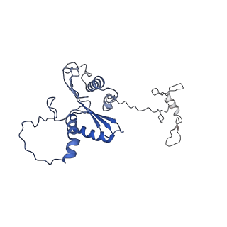 22081_6x6s_DA_v1-1
Cryo-EM Structure of the Helicobacter pylori OMC