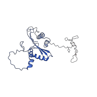 22081_6x6s_DA_v1-2
Cryo-EM Structure of the Helicobacter pylori OMC