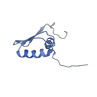 22081_6x6s_DB_v1-1
Cryo-EM Structure of the Helicobacter pylori OMC