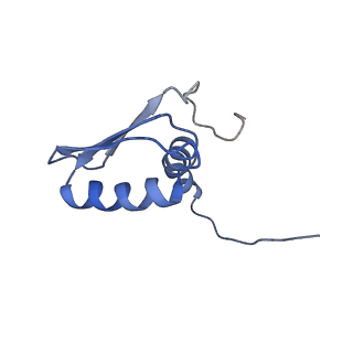 22081_6x6s_DB_v1-2
Cryo-EM Structure of the Helicobacter pylori OMC