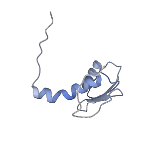 22081_6x6s_DC_v1-1
Cryo-EM Structure of the Helicobacter pylori OMC