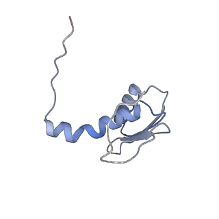 22081_6x6s_DC_v1-2
Cryo-EM Structure of the Helicobacter pylori OMC