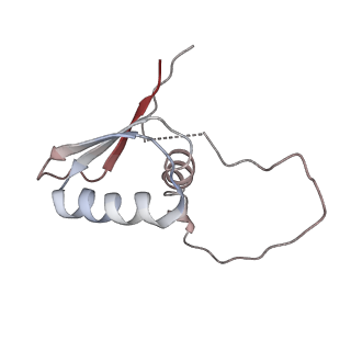 22081_6x6s_DD_v1-2
Cryo-EM Structure of the Helicobacter pylori OMC