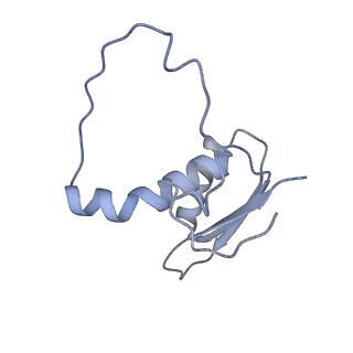 22081_6x6s_DE_v1-1
Cryo-EM Structure of the Helicobacter pylori OMC