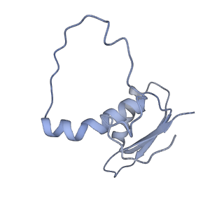 22081_6x6s_DE_v1-2
Cryo-EM Structure of the Helicobacter pylori OMC