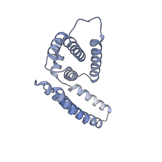 22081_6x6s_DM_v1-1
Cryo-EM Structure of the Helicobacter pylori OMC
