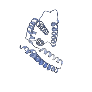 22081_6x6s_DM_v1-2
Cryo-EM Structure of the Helicobacter pylori OMC