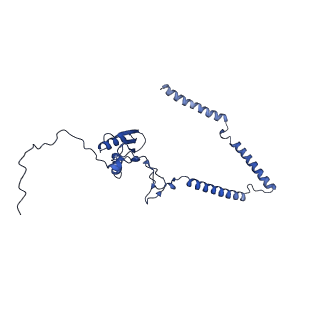 22081_6x6s_DT_v1-1
Cryo-EM Structure of the Helicobacter pylori OMC