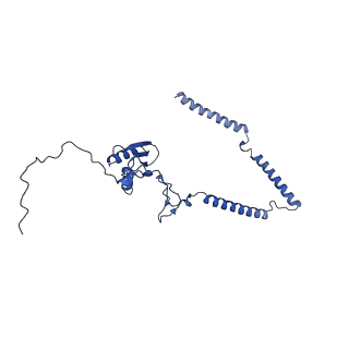 22081_6x6s_DT_v1-2
Cryo-EM Structure of the Helicobacter pylori OMC