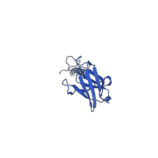 22081_6x6s_DX_v1-1
Cryo-EM Structure of the Helicobacter pylori OMC