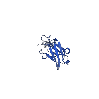 22081_6x6s_DX_v1-2
Cryo-EM Structure of the Helicobacter pylori OMC