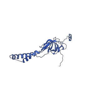 22081_6x6s_DY_v1-1
Cryo-EM Structure of the Helicobacter pylori OMC