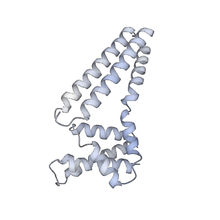22081_6x6s_Dm_v1-1
Cryo-EM Structure of the Helicobacter pylori OMC