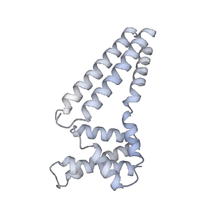 22081_6x6s_Dm_v1-2
Cryo-EM Structure of the Helicobacter pylori OMC