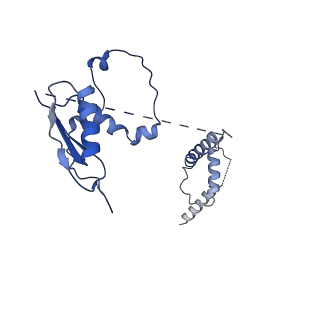 22081_6x6s_Dt_v1-1
Cryo-EM Structure of the Helicobacter pylori OMC