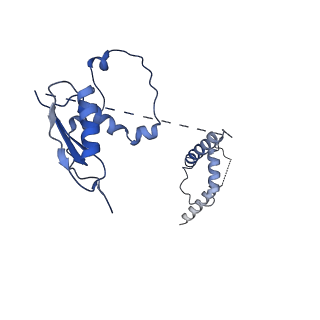 22081_6x6s_Dt_v1-2
Cryo-EM Structure of the Helicobacter pylori OMC