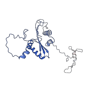 22081_6x6s_EA_v1-1
Cryo-EM Structure of the Helicobacter pylori OMC