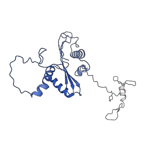 22081_6x6s_EA_v1-2
Cryo-EM Structure of the Helicobacter pylori OMC