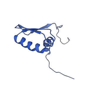 22081_6x6s_EB_v1-1
Cryo-EM Structure of the Helicobacter pylori OMC