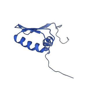 22081_6x6s_EB_v1-2
Cryo-EM Structure of the Helicobacter pylori OMC