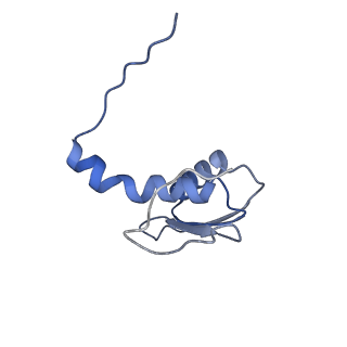 22081_6x6s_EC_v1-1
Cryo-EM Structure of the Helicobacter pylori OMC