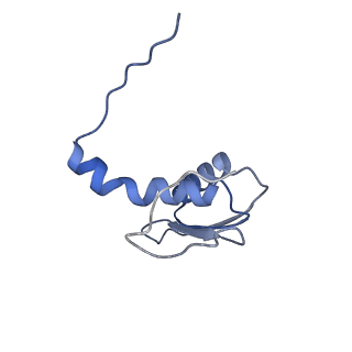 22081_6x6s_EC_v1-2
Cryo-EM Structure of the Helicobacter pylori OMC