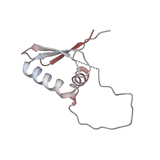 22081_6x6s_ED_v1-1
Cryo-EM Structure of the Helicobacter pylori OMC