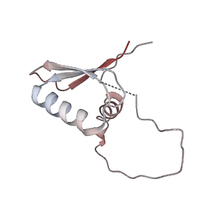 22081_6x6s_ED_v1-2
Cryo-EM Structure of the Helicobacter pylori OMC