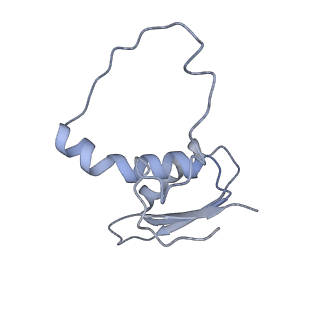 22081_6x6s_EE_v1-1
Cryo-EM Structure of the Helicobacter pylori OMC